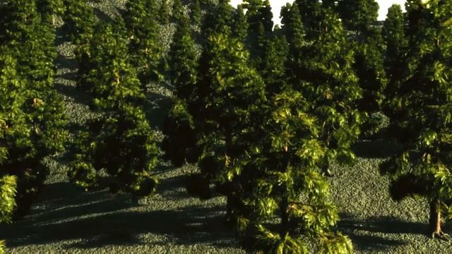 Vue Render and Color Correction смотреть онлайн