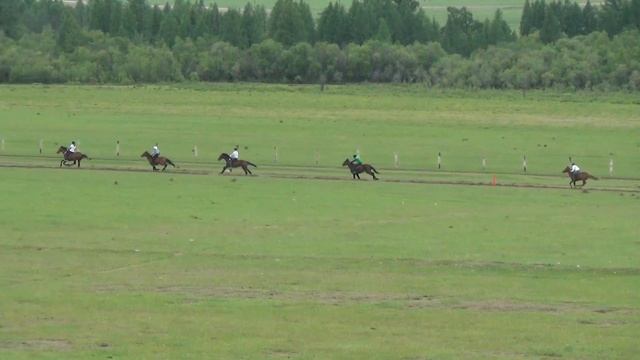 Открытие скакового сезона 2021 с.Ело 1200м смотреть онлайн