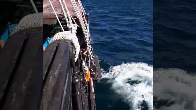 Тунис, Сусс, Порт эль кантауи, Средиземное море смотреть онлайн