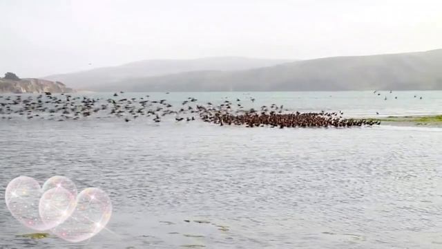 Удачного счастливого дня смотреть онлайн