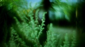 Petzval mod Helios 44-2 58mm F/2.0 Lomography Lens For ART