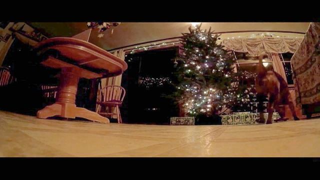 Maisto R C 1 24 Scale 1967 Ford Mustang смотреть онлайн