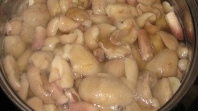 Сборник рецептов