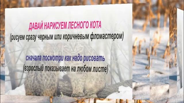 "Амурский лесной кот" (с 4 лет) смотреть онлайн