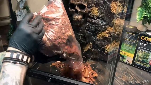 Переделал террариум, фон в террариум своими руками смотреть онлайн