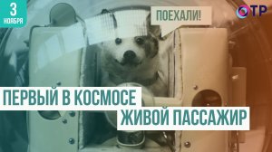 Первые космические полёты животных: как это было и что мы узнали благодаря им?