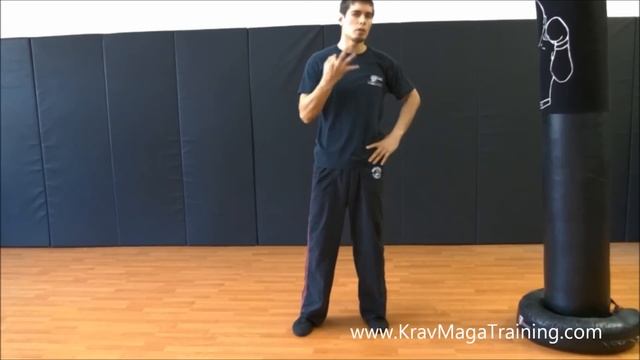 Krav Maga - Side Kick (Tips to Improve Balance) смотреть онлайн