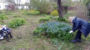 Как недорого украсить клумбу на участке. Заборчик из Fix Price. Обзор.