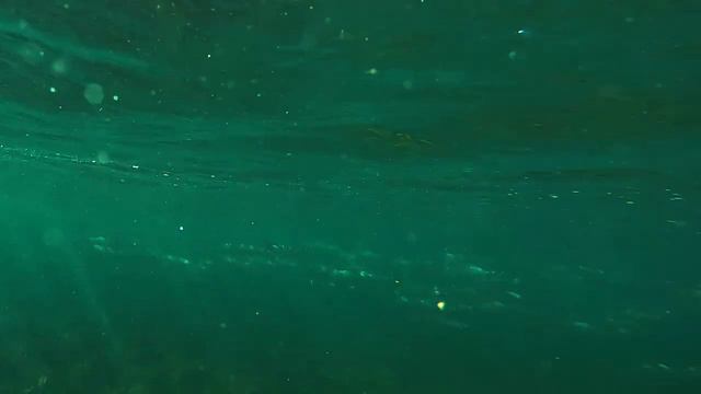 Bodysurfing a PERFECT reef break смотреть онлайн