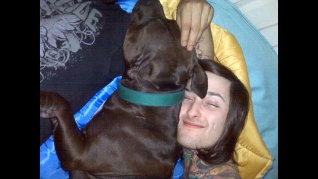 Mitch lucker - rest in peace ! (singer of Suicide Silence died today...) смотреть онлайн