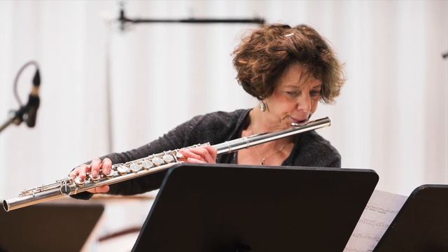 Hubert Hoche - MING I for Alto Flute or Contrabass Flute смотреть онлайн