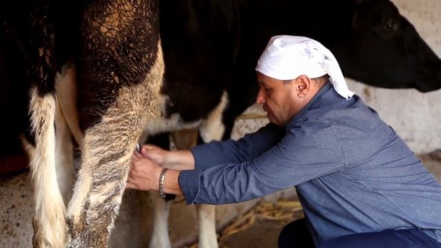 Qalpoq - Ko'zaning Quli Yohud Farmongul (hajviy Ko'rsatuv)
