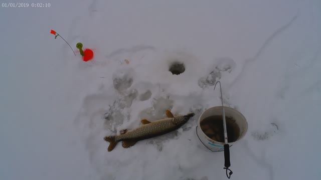 Раз на раз не приходится! Рыбалка 17.12.2022г.