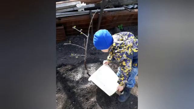 Консультация "Время наблюдать за природой" смотреть онлайн