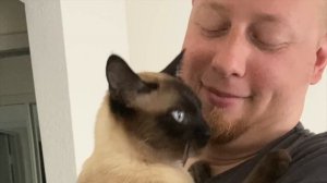 Жизнь в США. Наш обычный день в Калифорнии // Влог Да, Америка! #73