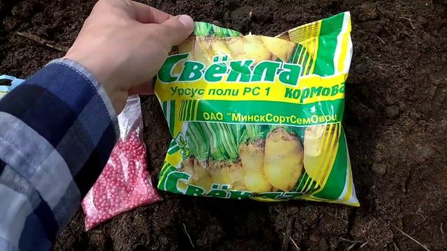 Обзор хозяйства в мае. Породные куры. Утки растут. Сею кормовую свеклу. смотреть онлайн