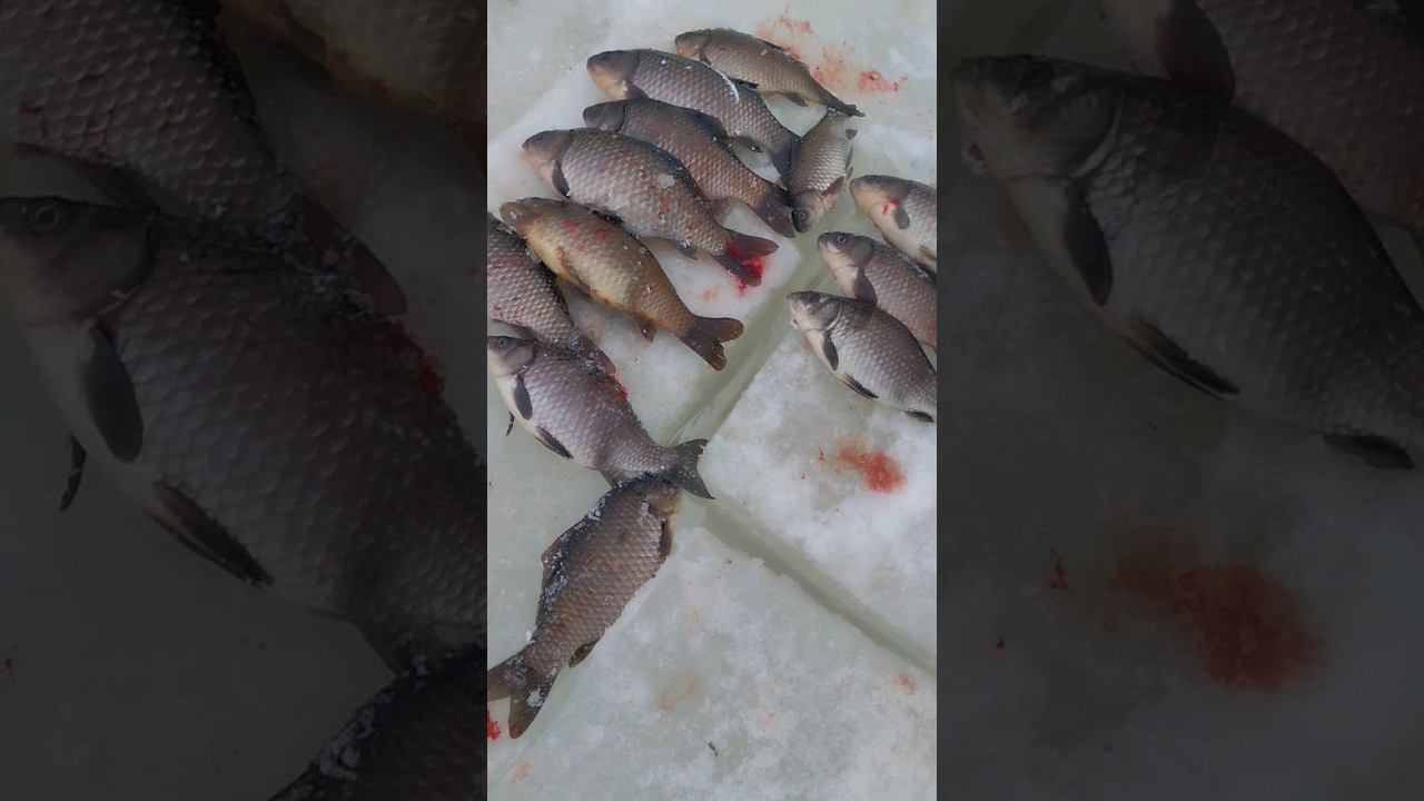 рыбалка в марте.на озере смотреть онлайн