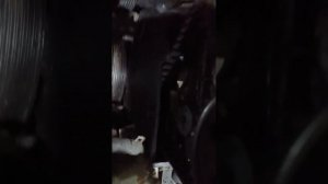 форт фокус 1.6 об. донс. метки зажигание