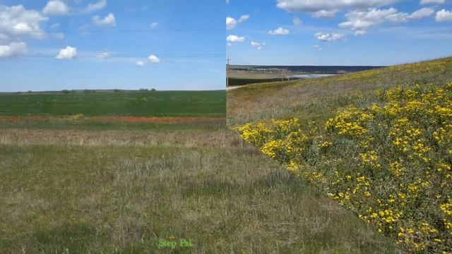 Степной Крым( май 2020 г.). смотреть онлайн