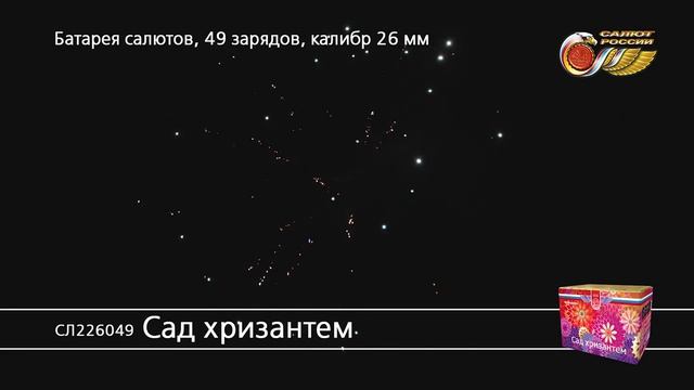 СЛ226049 Сад хризантем смотреть онлайн