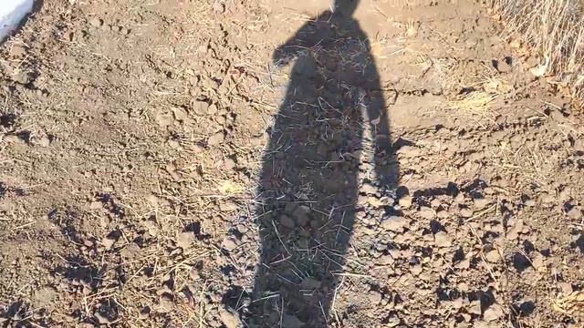 Если такая песня пошла, нужно что-то менять. Наши идеи в агробизнесе. смотреть онлайн