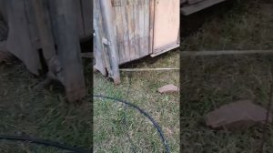 как передвинуть дачный домик в одно лицо? почти легко?