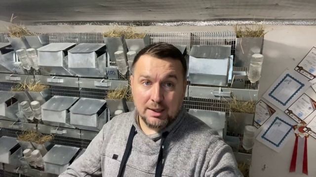 РЕПУТАЦИЯ ШИНШИЛЛОВОДСТВА В РОССИИ | СЕЛЬСКОЕ ХОЗЯЙСТВО смотреть онлайн