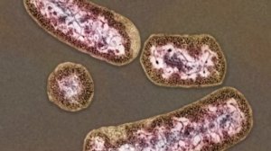 невероятные изобретения 21 века