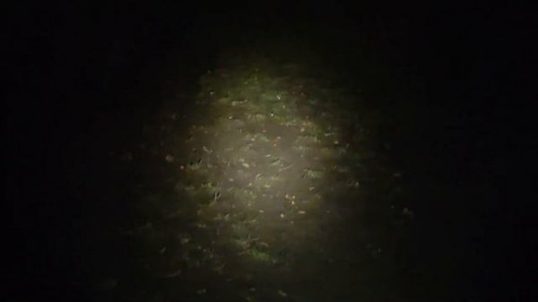 Обзор Sofirn SP31 V2.0 - народный фонарь с LH351D и стабилизацией