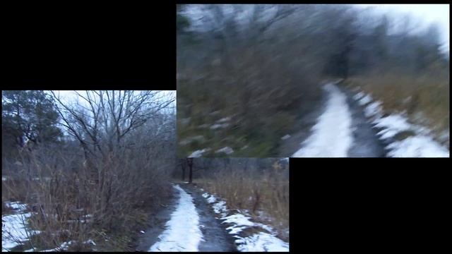 наглядный пример того, для чего нужен стедикам смотреть онлайн