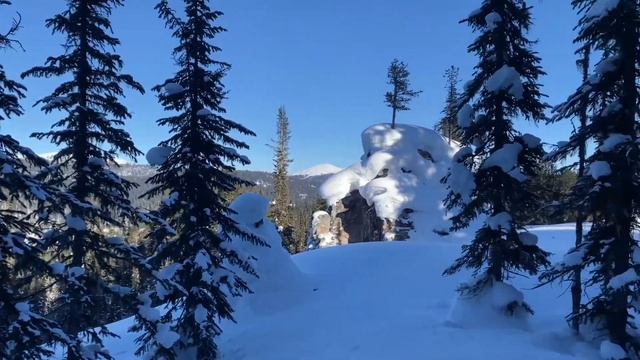 Ергаки, солнце, снег. 22.01.24 смотреть онлайн