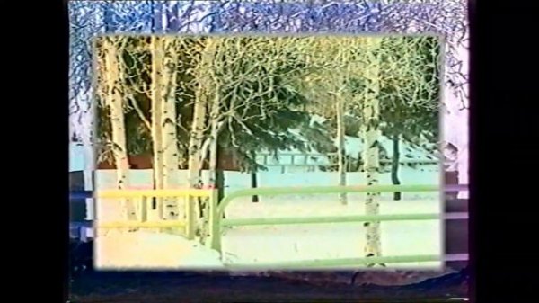 БЕРЕЗОВО 1993