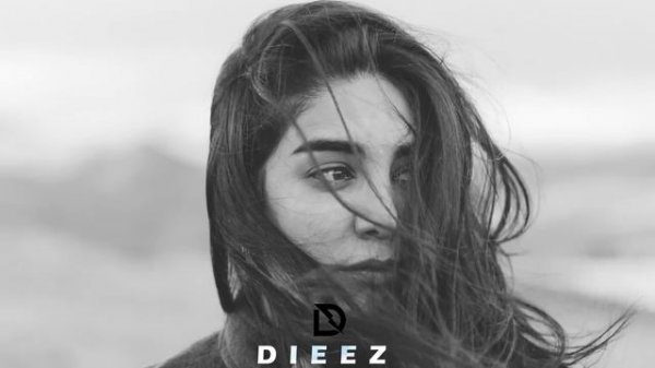 DIEEZ - Amor Amor REMIX