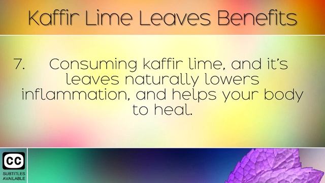 Kaffir Lime Leaves: Benefits & Uses