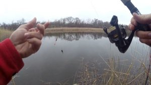 Щука на живца с берега / на СПИННИНГ на поплавок.
