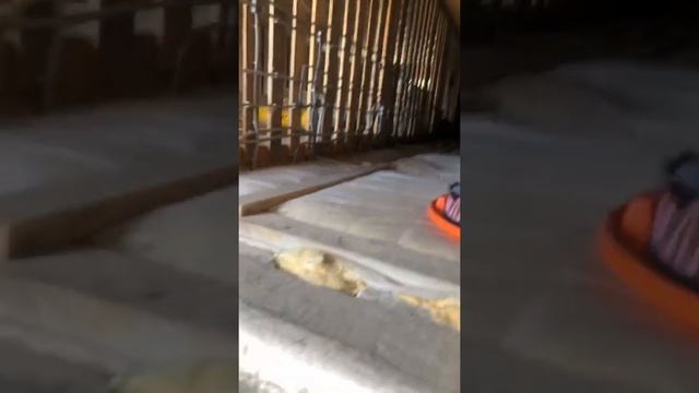 2 видео про Лестницу трехмаршевая из металла по простому смотреть онлайн