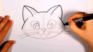 Учимся рисовать лицо котёнка