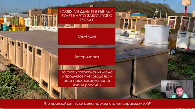 Как восстановится популяция пчёл в России, если цена на мёд станет Справедливой? смотреть онлайн
