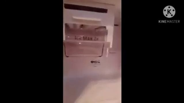 UNBOXING Samsung Digital Inverter Refrigerator
