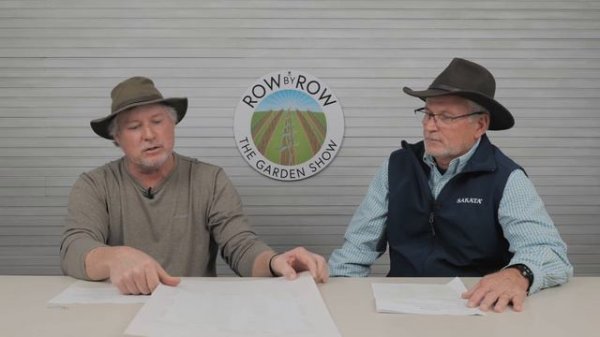 Let's Talk About TOMATOES!