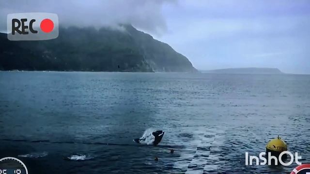 Micheal Phelps vs. A Great White Shark Round 1 смотреть онлайн