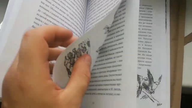 ДРАКОН ПРИЕХАЛ! Книга Евгения Рыбалтовского! смотреть онлайн