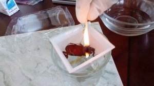 Жук-носорог в эпоксидной смоле