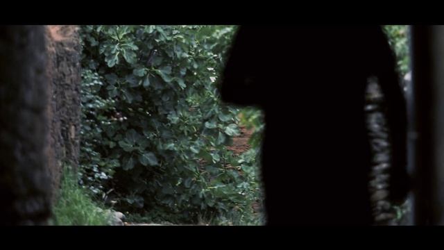 Mandeo Records - MANDALA - Trailer - Olympus OM-D E-M5 Mark II смотреть онлайн