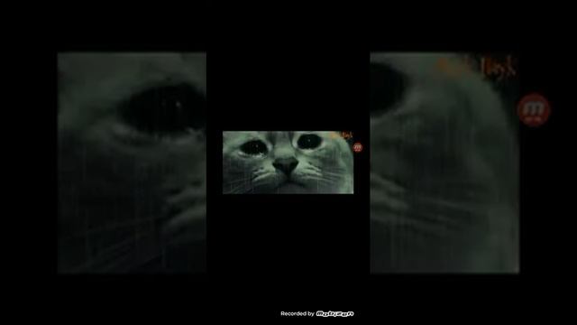 самое грустное видео от которого даже хочется плакать смотреть онлайн