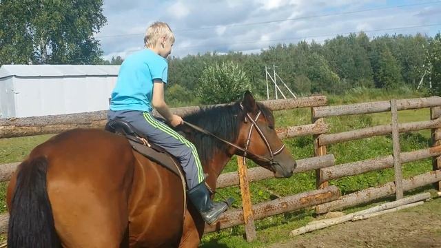 На лошади учатся кататься детишки. смотреть онлайн