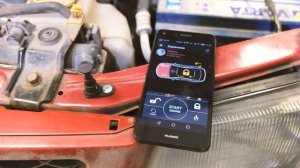 Пьезосирена Pandora PS-331 BT для автосигнализаций - Обзор