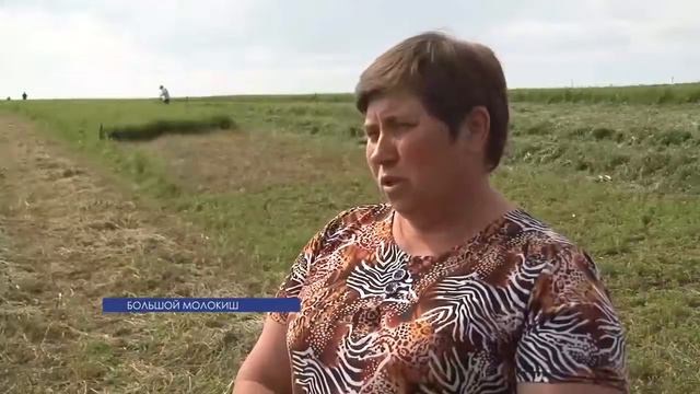 В Рыбницком районе кормом для домашних животных теперь занимаются местные власти смотреть онлайн