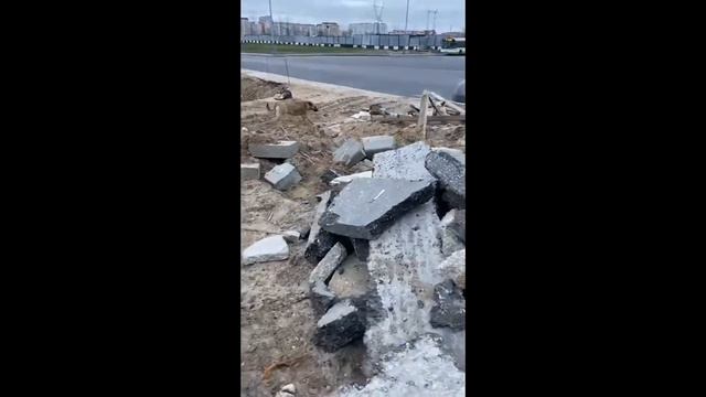 Москва. Бездомные собачки смотреть онлайн