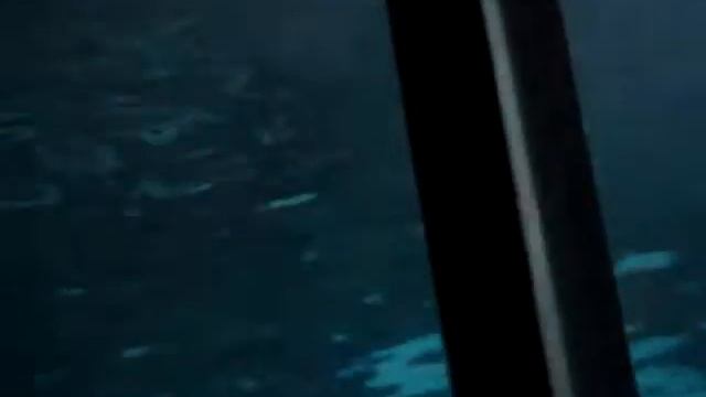 аквариум в испании смотреть онлайн